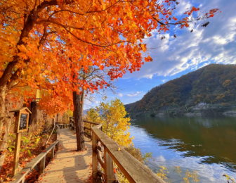 NAMI ISLAND - EVERLAND PARK - HERO SHOW - FRUIT HARVEST