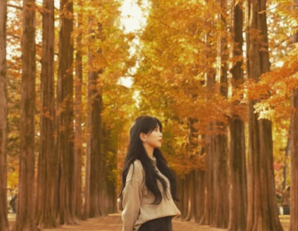 NAMI ISLAND